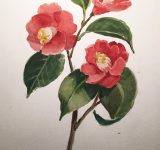 Bozzetti_mara_beccaris_ott19_6